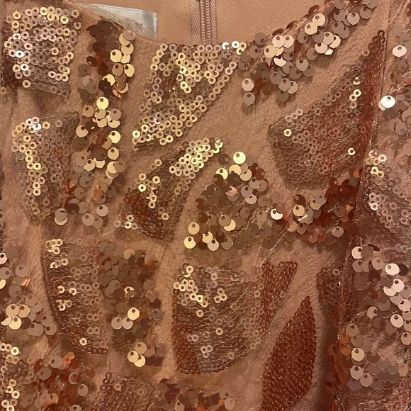 Donna Morgan woman’s rose gold Tiffany gown - Picture 5 of 10